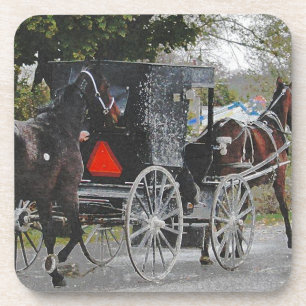 Getting the new horse home. #amish #horse untersetzer