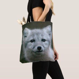 Getty Bilder arktischer Fox-Ausrüstung