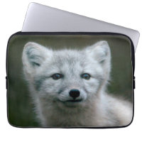 Getty Bilder| arktischer Fox-Ausrüstung