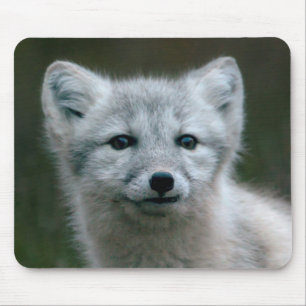 Getty Bilder  arktischer Fox-Ausrüstung Mousepad