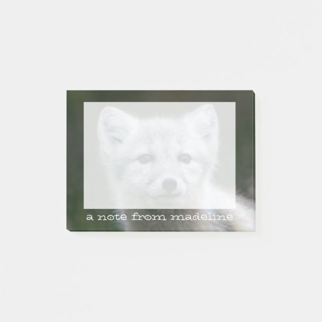 Getty Bilder| arktischer Fox-Ausrüstung Post-it Klebezettel (Vorderseite)