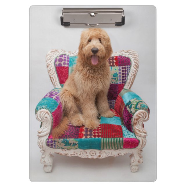 Getty Bilder | niedliches Goldendoodle Klemmbrett (Vorderseite)