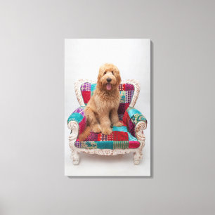 Getty Bilder   niedliches Goldendoodle Leinwanddruck