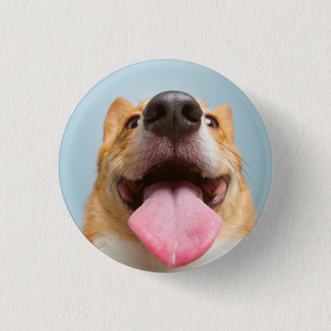 Getty Bilder| sehr glücklicher Corgi Button (Vorderseite)
