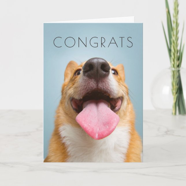 Getty Bilder| sehr glücklicher Corgi Karte (Vorderseite)