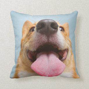 Getty Bilder sehr glücklicher Corgi Kissen
