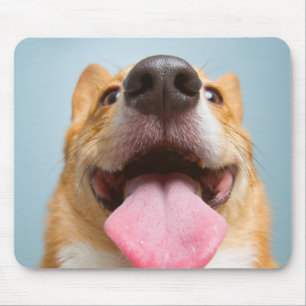 Getty Bilder sehr glücklicher Corgi Mousepad