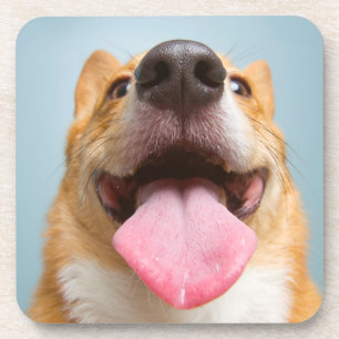 Getty Bilder sehr glücklicher Corgi Untersetzer