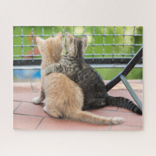 Getty Bilder zwei Kätzchen auf einem Balkon Puzzle