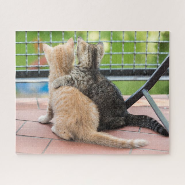 Getty Bilder | zwei Kätzchen auf einem Balkon Puzzle (Horizontal)