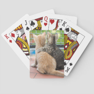 Getty Bilder zwei Kätzchen auf einem Balkon Spielkarten
