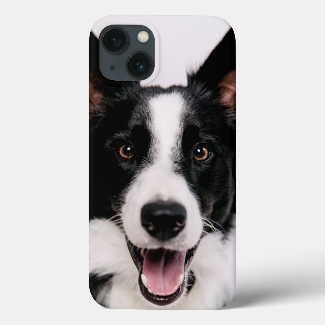 Getty Images | A Smiling Border Collie Case-Mate iPhone Hülle (Rückseite)