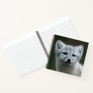 Getty Images Arctic Fox Kit Notizbuch