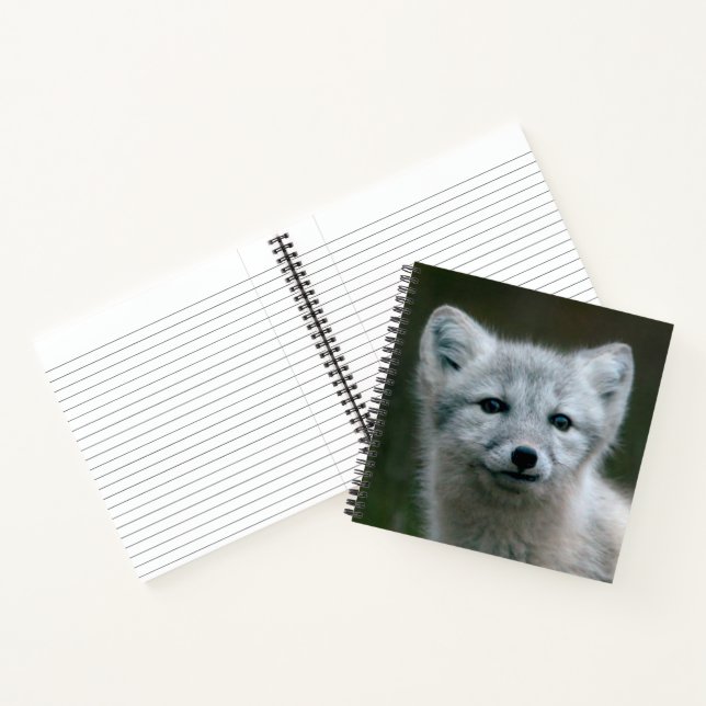 Getty Images | Arctic Fox Kit Notizbuch (Innenseite)