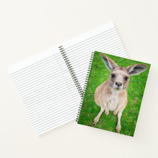 Getty Images | Baby Kangaroo Notizbuch (Innenseite)