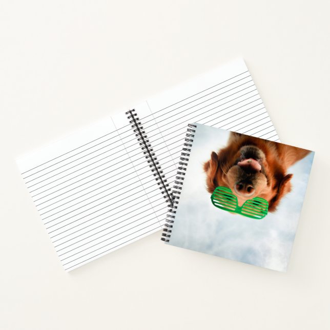 Getty Images | Brille-Hund Notizbuch (Innenseite)