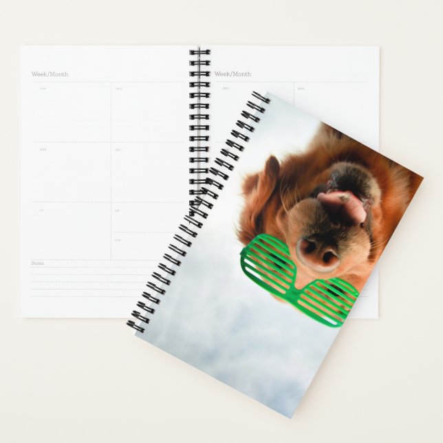 Getty Images | Brille-Hund Planer (Anzeige)