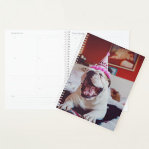 Getty Images British Bulldog Planer