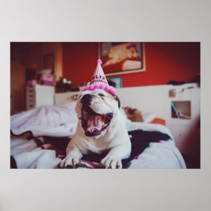Getty Images British Bulldog Poster