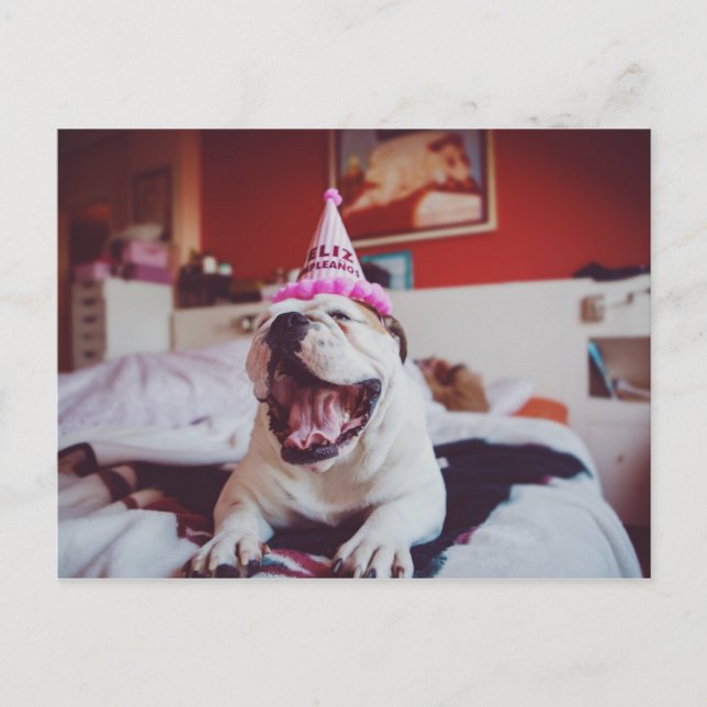 Getty Images | British Bulldog Postkarte (Vorderseite)