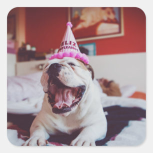 Getty Images British Bulldog Quadratischer Aufkleber