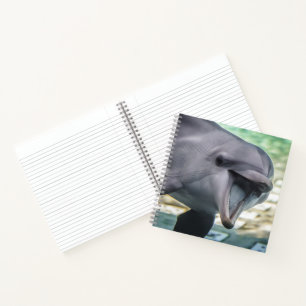 Getty Images   Delphin Notizbuch