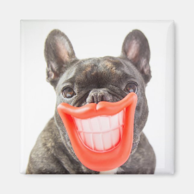 Getty Images | Ein lächelnder Hund Magnet (Vorne)