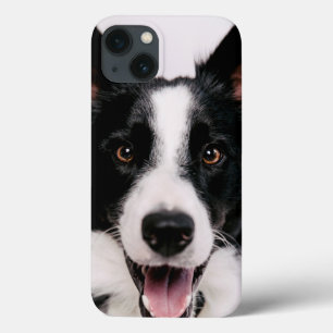 Getty Images Eine lächelnde Grenzkollie Case-Mate iPhone Hülle