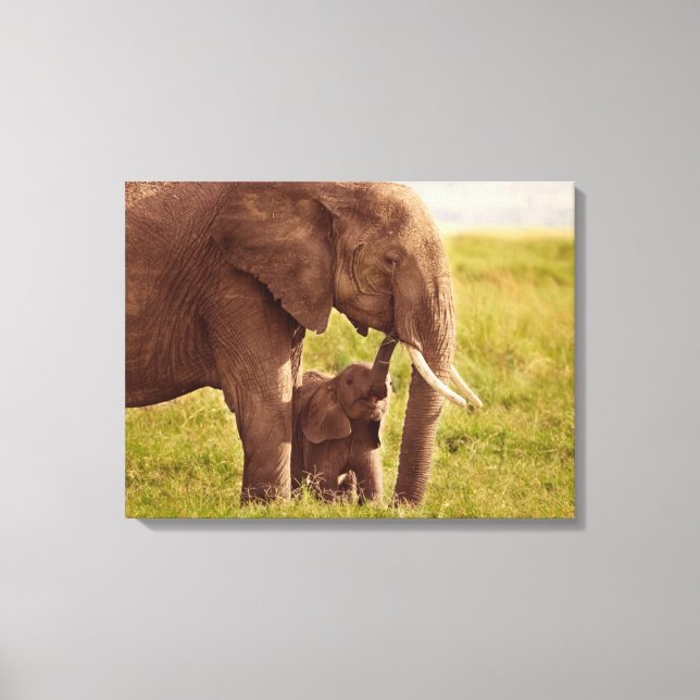 Getty Images | Elephant & Baby Leinwanddruck (Vorderseite)