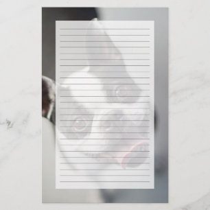 Getty Images French Bulldog