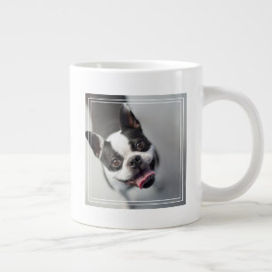 Getty Images   French Bulldog Jumbo-Tasse