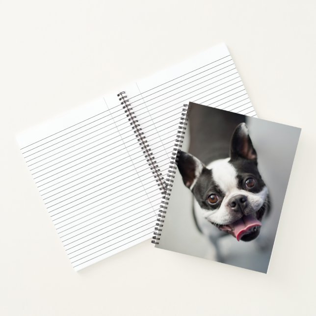 Getty Images | French Bulldog Notizbuch (Innenseite)