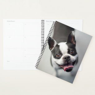 Getty Images French Bulldog Planer