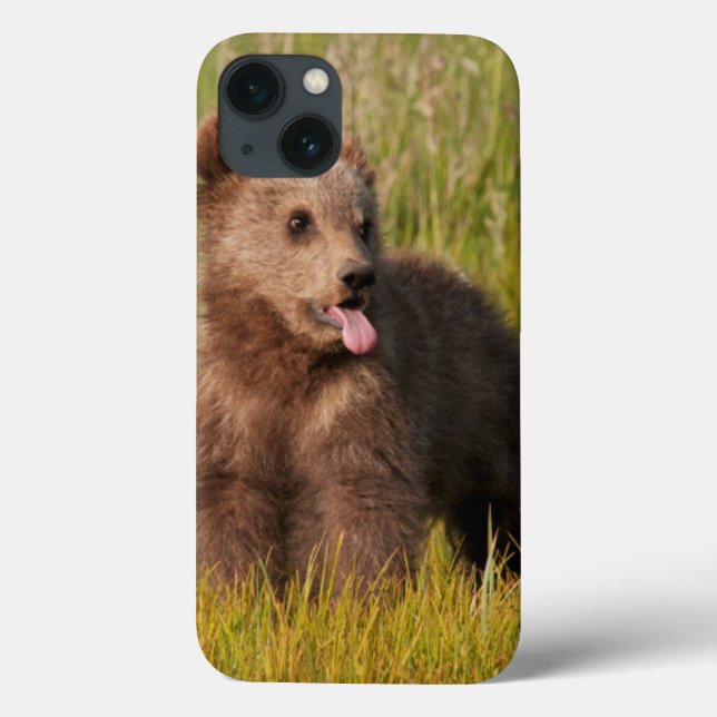 Getty Images | Funny Baby Bear Case-Mate iPhone Hülle (Rückseite)