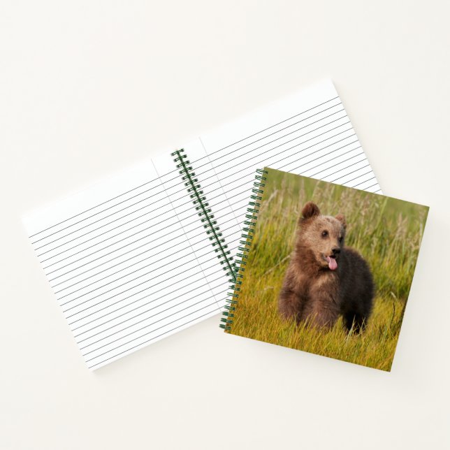 Getty Images | Funny Baby Bear Notizbuch (Innenseite)