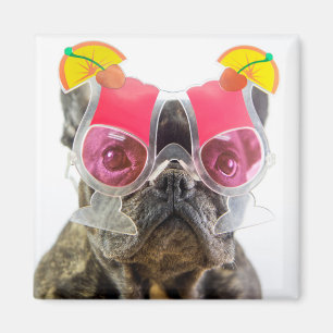 Getty Images   Hund mit Cocktailbrille Magnet