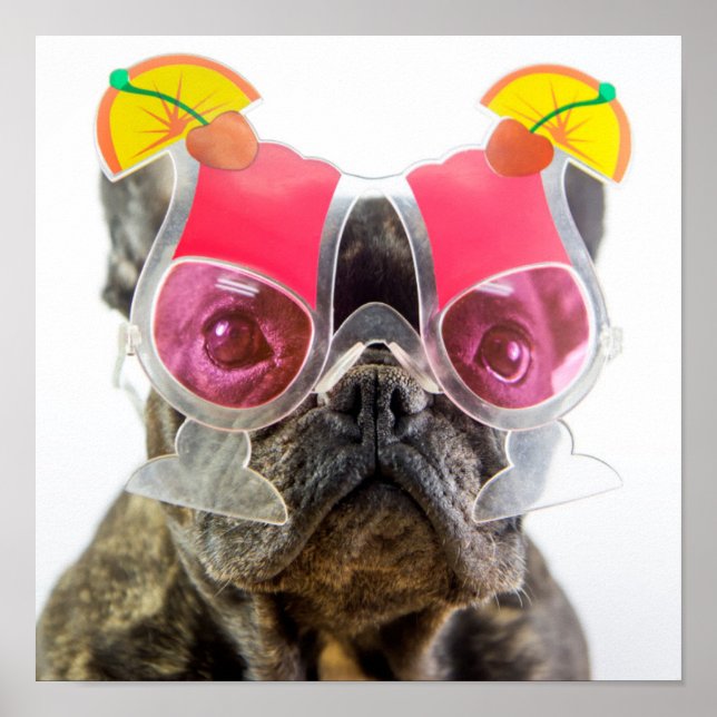 Getty Images | Hund mit Cocktailbrille Poster (Vorne)