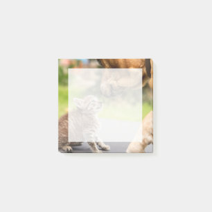 Getty Images  Hund und Katze in Liebe Post-it Klebezettel