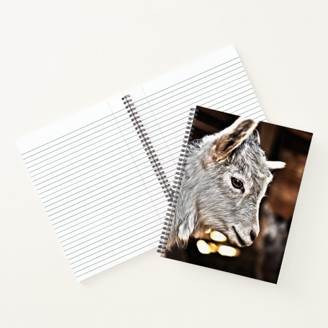 Getty Images | Kleine Ziege Notizbuch (Innenseite)
