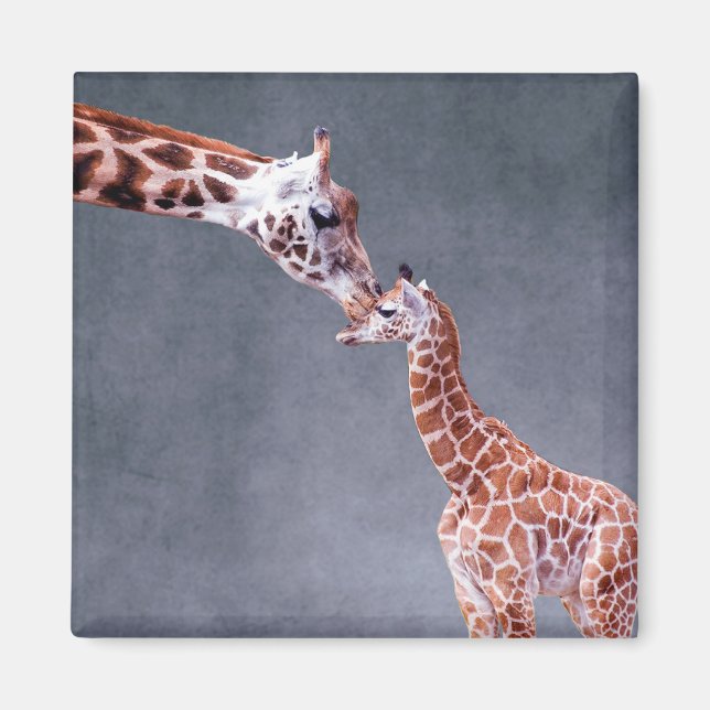 Getty Images | Mutter und Baby Giraffe Magnet (Vorne)