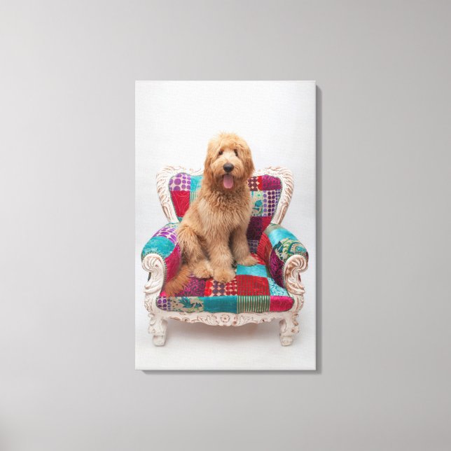 Getty Images | Niedlich Goldendoodle Leinwanddruck (Vorderseite)
