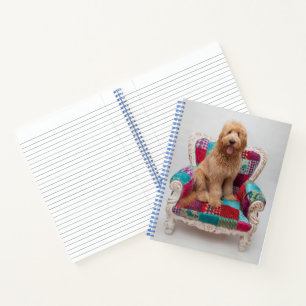 Getty Images   Niedlich Goldendoodle Notizbuch