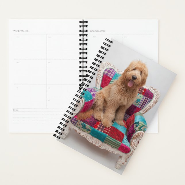 Getty Images | Niedlich Goldendoodle Planer (Anzeige)
