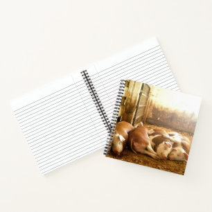 Getty Images Schnappschweine Notizbuch