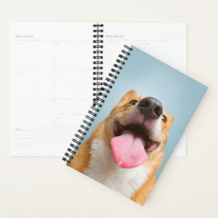 Getty Images Sehr glücklich Corgi Planer