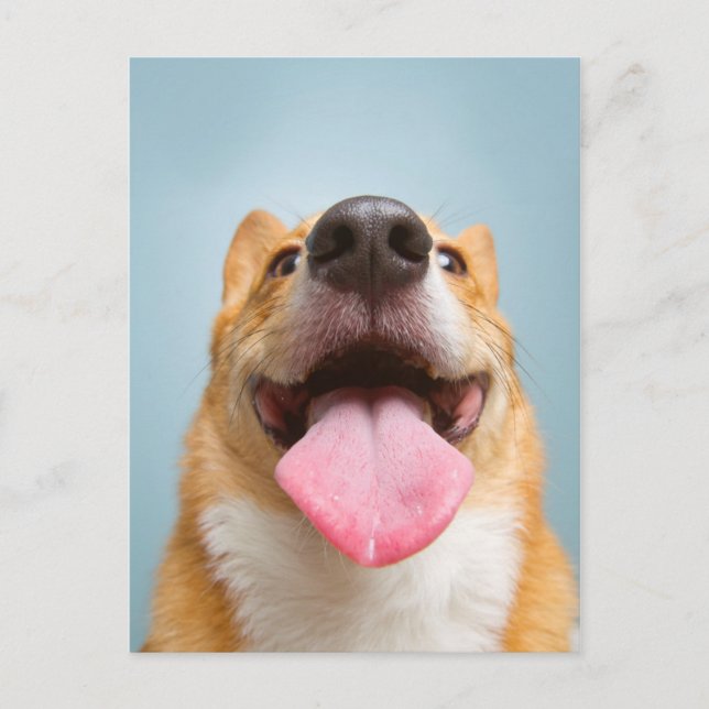 Getty Images | Sehr glücklich Corgi Postkarte (Vorderseite)