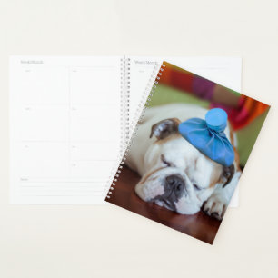 Getty Images Sick Young Puppy Planer