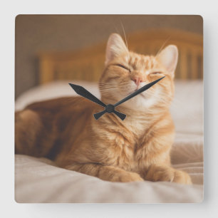 Getty Images   Sleepy Cat Quadratische Wanduhr