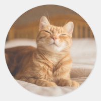 Getty Images | Sleepy Cat