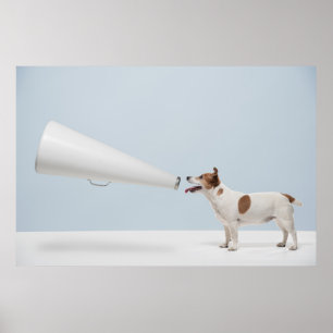 Getty Images   Sprechende Hunde Poster